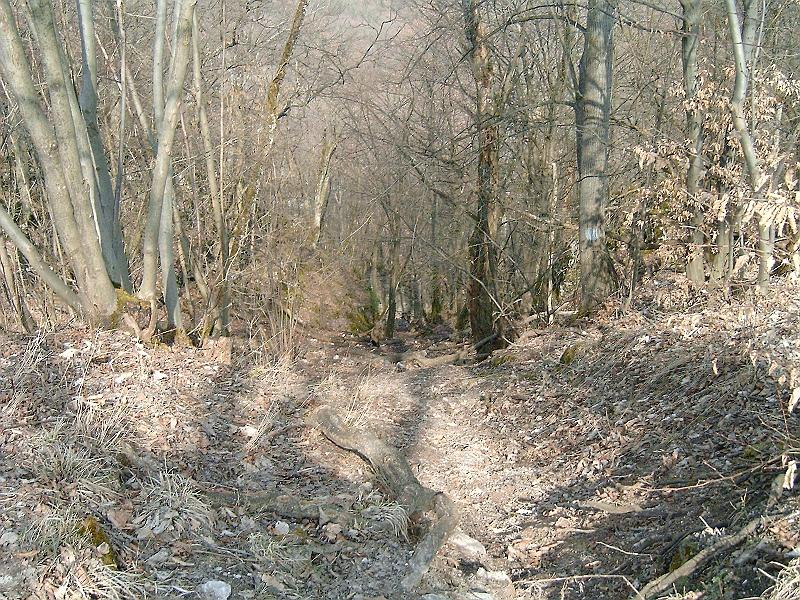 2010.03.20 025.jpg